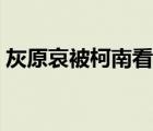 灰原哀被柯南看光视频（灰原哀被柯南看光）