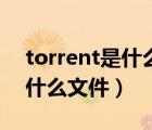 torrent是什么文件可以删除吗（torrent是什么文件）