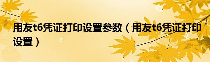 用友t6凭证打印设置参数（用友t6凭证打印设置）