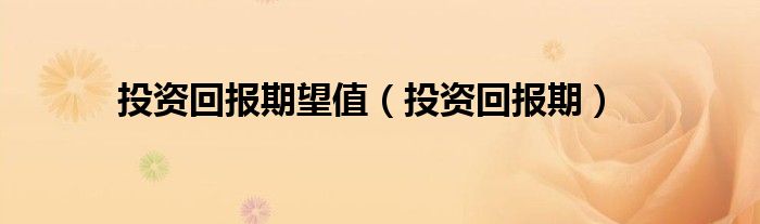 投资回报期望值（投资回报期）