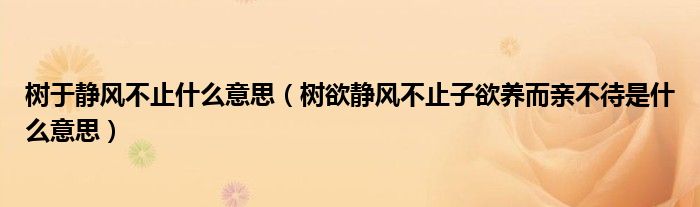 树于静风不止什么意思（树欲静风不止子欲养而亲不待是什么意思）