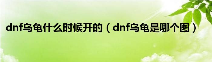 dnf乌龟什么时候开的（dnf乌龟是哪个图）