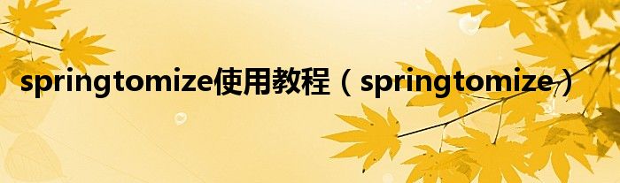 springtomize使用教程（springtomize）