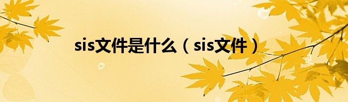 sis文件是什么（sis文件）