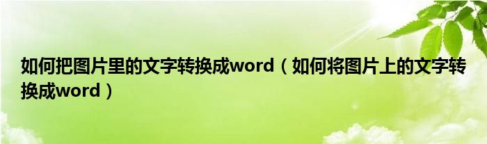 如何把图片里的文字转换成word（如何将图片上的文字转换成word）