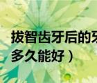 拔智齿牙后的牙洞多久能长好（拔智齿后牙洞多久能好）