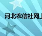 河北农信社网上银行登陆（旺旺登陆不上）