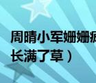 周晴小军姗姗疯狂岁月（小军家的一片牧场上长满了草）