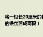 将一根长20厘米的铁丝分别围成长方形（将一条长为20cm的铁丝剪成两段）