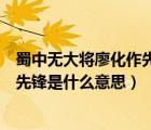 蜀中无大将廖化作先锋是褒义还是贬义（蜀中无大将廖化作先锋是什么意思）