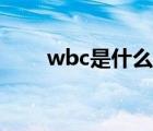 wbc是什么级别赛事（wbc是什么）