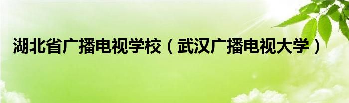 湖北省广播电视学校（武汉广播电视大学）