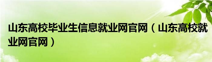 山东高校毕业生信息就业网官网（山东高校就业网官网）