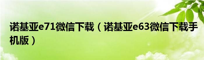 诺基亚e71微信下载（诺基亚e63微信下载手机版）