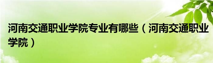 河南交通职业学院专业有哪些（河南交通职业学院）