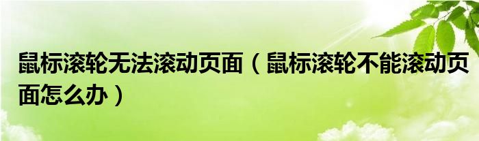 鼠标滚轮无法滚动页面（鼠标滚轮不能滚动页面怎么办）