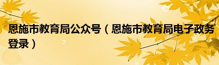 恩施市教育局公众号（恩施市教育局电子政务登录）