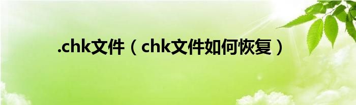 .chk文件（chk文件如何恢复）