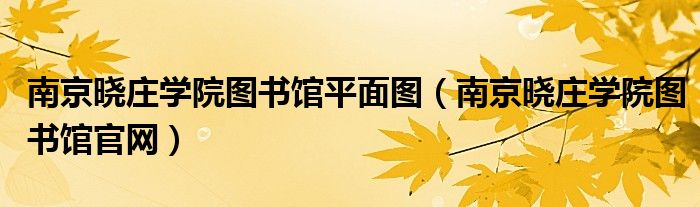 南京晓庄学院图书馆平面图（南京晓庄学院图书馆官网）