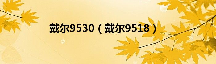 戴尔9530（戴尔9518）