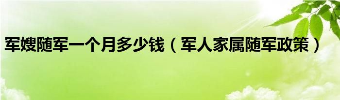 军嫂随军一个月多少钱（军人家属随军政策）