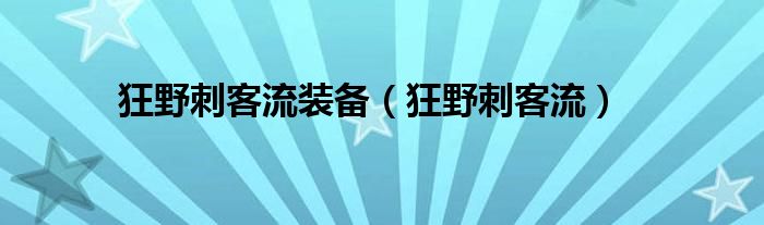 狂野刺客流装备（狂野刺客流）