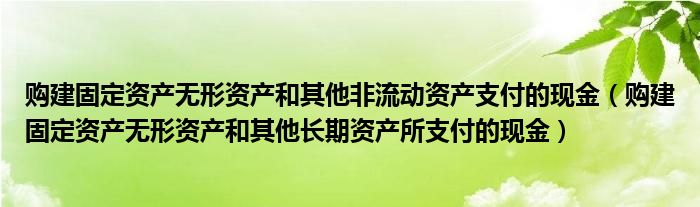 购建固定资产无形资产和其他非流动资产支付的现金（购建固定资产无形资产和其他长期资产所支付的现金）