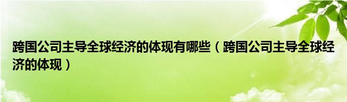 跨国公司主导全球经济的体现有哪些（跨国公司主导全球经济的体现）