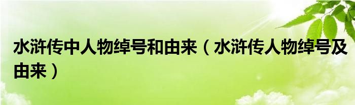 水浒传中人物绰号和由来（水浒传人物绰号及由来）