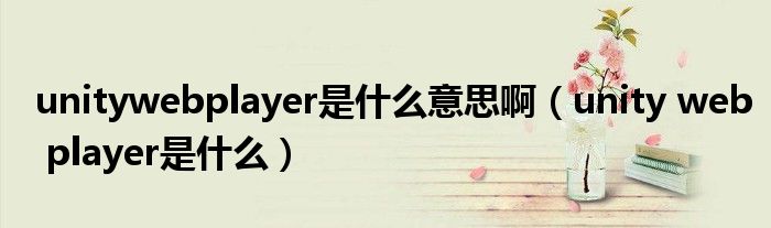 unitywebplayer是什么意思啊（unity web player是什么）