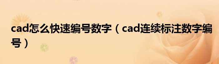 cad怎么快速编号数字（cad连续标注数字编号）