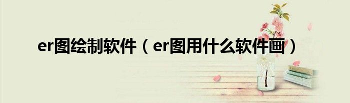 er图绘制软件（er图用什么软件画）