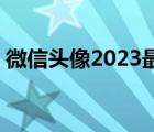 微信头像2023最新图片（微信头像怎么加1）