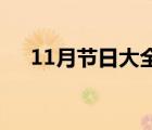 11月节日大全（11月20日是什么节日）