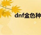 dnf金色种子有什么用（dnf金色）