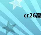 cr26高铬铸铁（高铬铸铁）