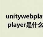 unitywebplayer是什么意思啊（unity web player是什么）