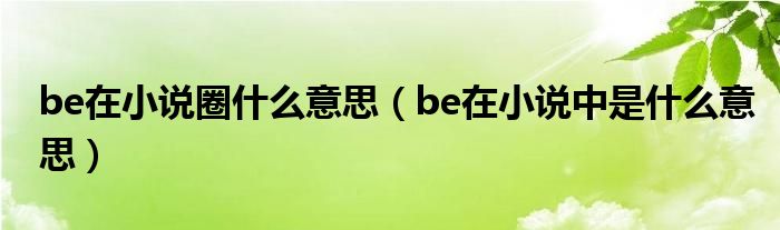 be在小说圈什么意思（be在小说中是什么意思）