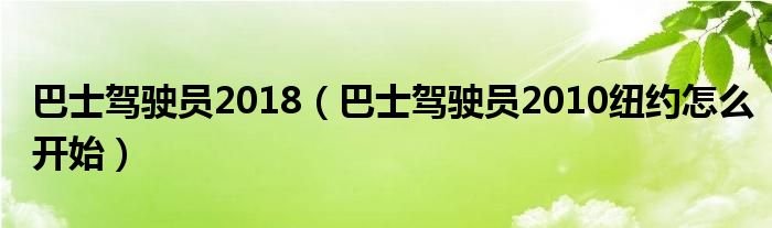 巴士驾驶员2018（巴士驾驶员2010纽约怎么开始）