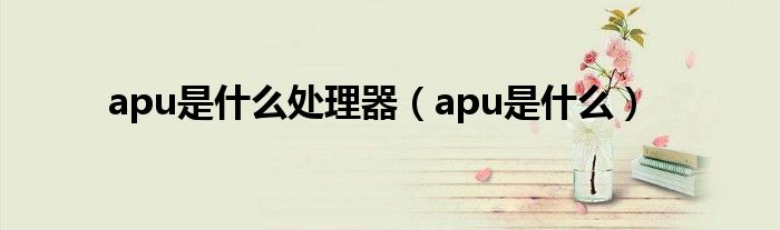 apu是什么处理器（apu是什么）