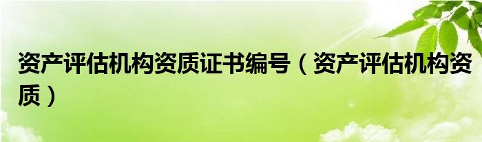 资产评估机构资质证书编号（资产评估机构资质）