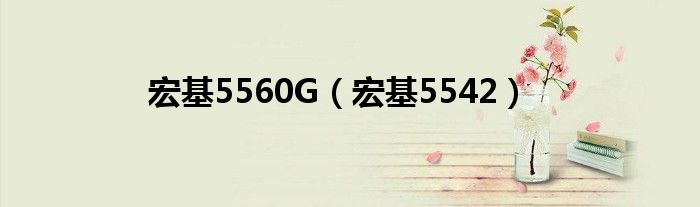 宏基5560G（宏基5542）