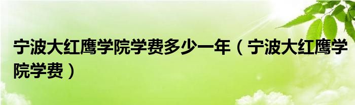 宁波大红鹰学院学费多少一年（宁波大红鹰学院学费）