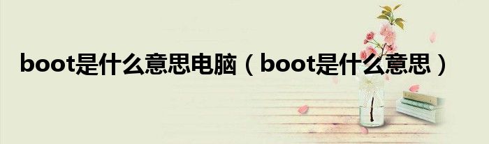 boot是什么意思电脑（boot是什么意思）