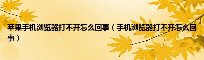 苹果手机浏览器打不开怎么回事（手机浏览器打不开怎么回事）