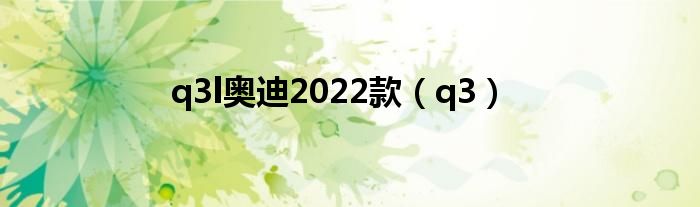 q3l奥迪2022款（q3）