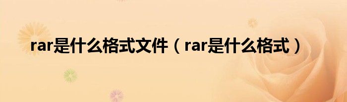 rar是什么格式文件（rar是什么格式）