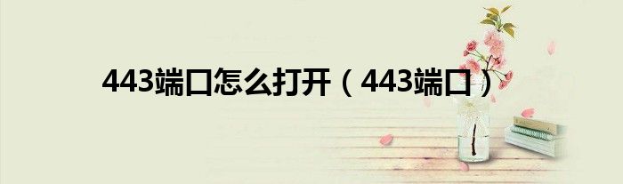 443端口怎么打开（443端口）