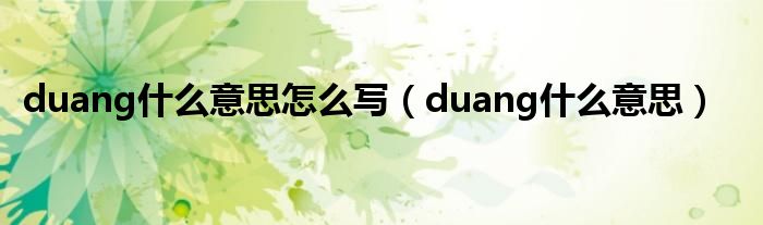 duang什么意思怎么写（duang什么意思）