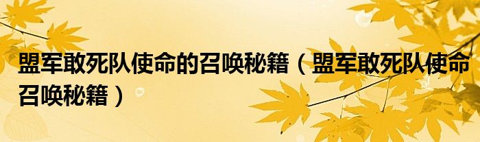 盟军敢死队使命的召唤秘籍（盟军敢死队使命召唤秘籍）